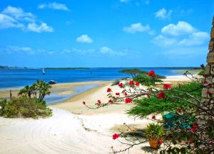 Девственная природа пляжа Ламу