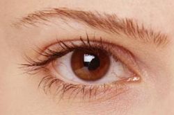 третман ока кератитиса