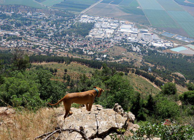 Кирьят-Шмона расположен в одной из красивейших местностей Израиля
