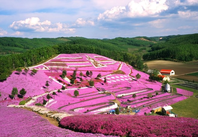 Цветочные сады Китакюсю