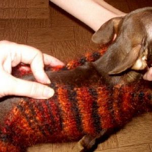 Pletené oděvy pro psy se svými rukama10