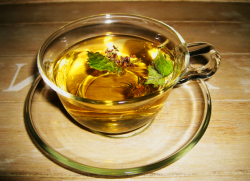 Kuril čaj užitečné vlastnosti