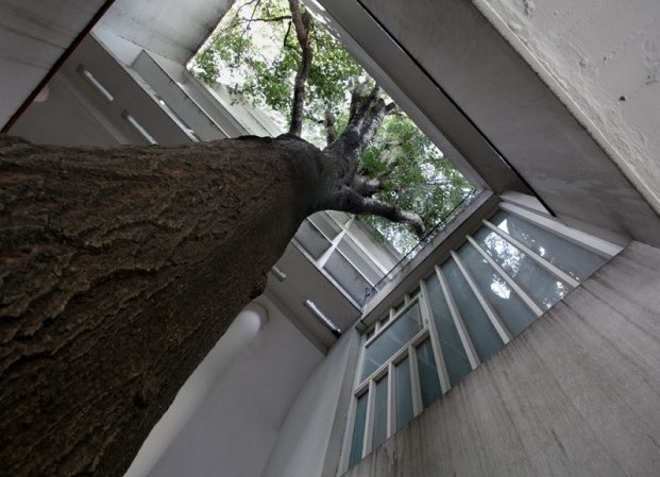 Дерево является неотъемлемой частью здания