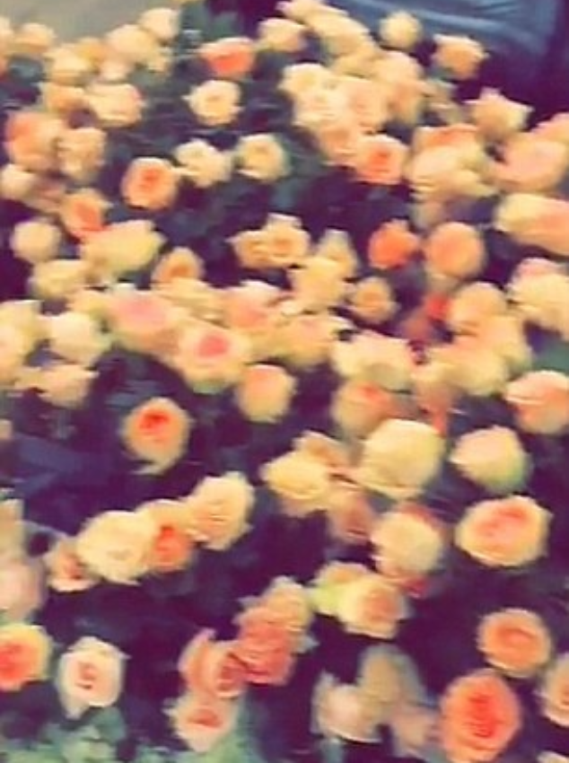 Комната Кайли Дженнер заполненная розами
