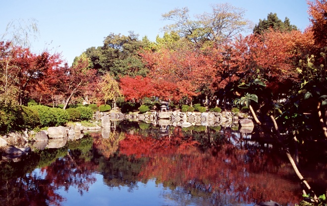 Парк в Киото