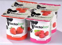 mléčných výrobků bez laktózy