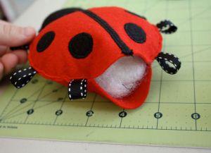 Ladybug z rokami 10