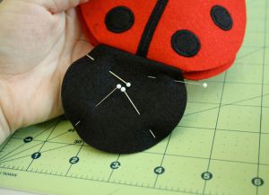 Ladybug s rukama 6
