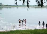 Karačije jezero ostrišče divje foto 2