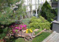 vrtnarjenje dvorišča zasebne hiše 4