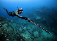 В Панаме есть законы относительно подводной охоты