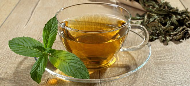 чай из листьев земляники