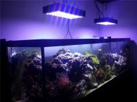 LED осветление на аквариума 1