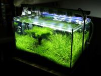 LED осветление на аквариума 3