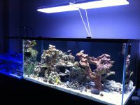 LED осветление за аквариуми 4