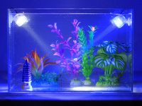 LED osvetlitev akvarija 6