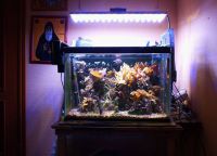 LED žarnica za akvarij1