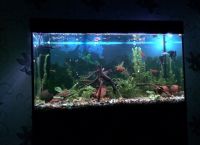 LED Strip za Aquarium2