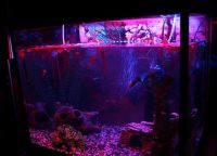 LED лента за аквариум4