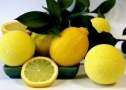 рецепт за исхрану лимуна