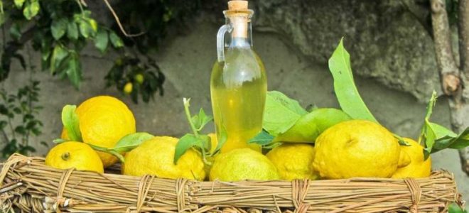 како направити лимончело код куће