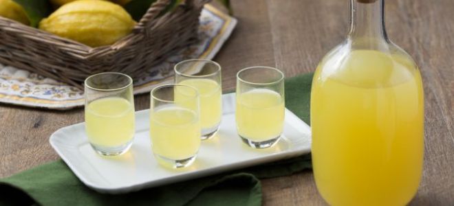 Domácí citronový likér na alkohol
