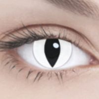 obojena leća mačjih očiju 8