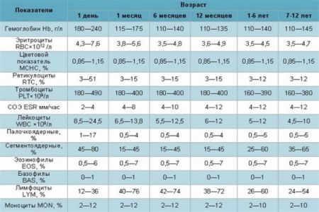 leukocyty w tabeli norm dla dzieci