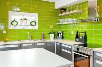 Dizajn kuhinje u svijetlozelenkastoj boji 3