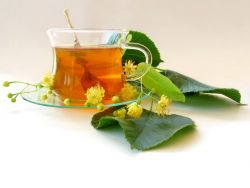 Herbata lipowa o korzystnych właściwościach
