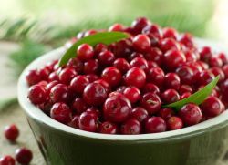 lignonberry jagode za hujšanje
