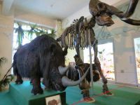 Muzej lokalne prirode Krasnoyarsk 4