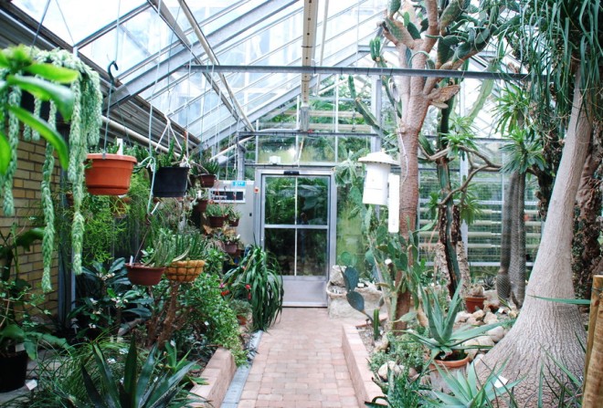 Ботанический сад Лунда