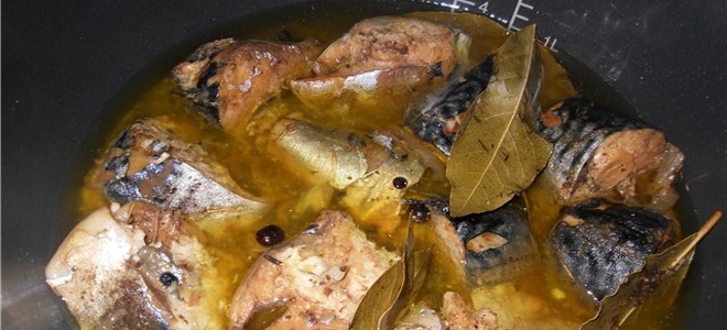 jak vařit konzervované potraviny z makrely v multivarkách