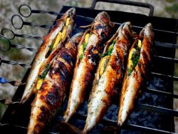 grilované špejle makrely na recept na grilu