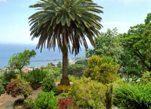 Atrakcije Madeira2