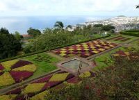 Atrakcije Madeira4