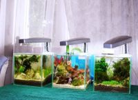 аквариум дизайн 8