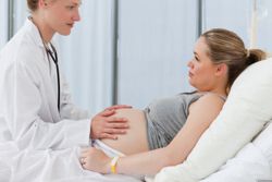 pothranjenost tijekom trudnoće 20 tjedana