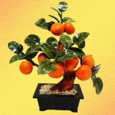 feng shui tangerine drevo