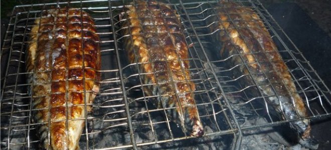 Jak marynować makrele dla snish ​​kebab z grilla