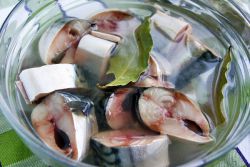 makrely s cibulí a octem