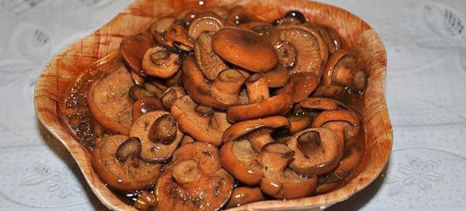 marinované houby