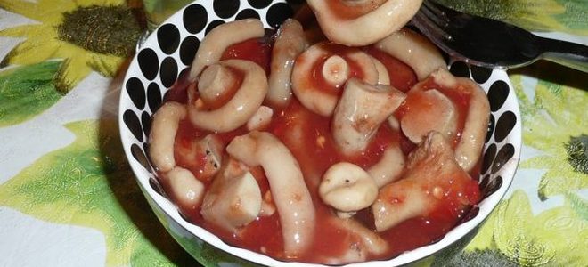 marynowane grzyby w przepisie pomidorowym