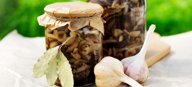 recept ukiseljene gljive s ocem i češnjakom