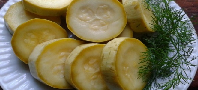 dnevno zucchini marinirani