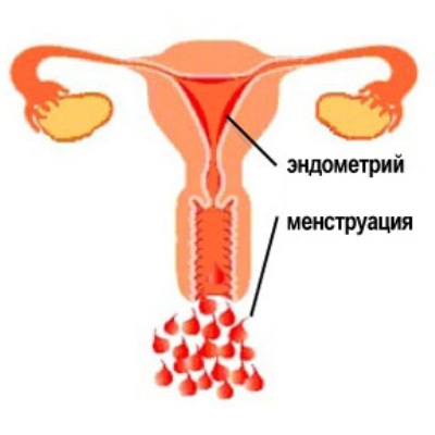Selhání cyklu menstruace