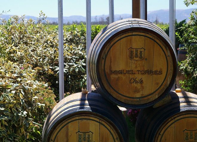 Винодельня Мигель Торрес предлагает туристам отведать элитные вина