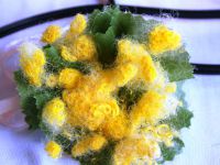 mimosa цвете странна работа17