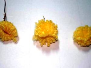 mimoza cvet čudno delo3